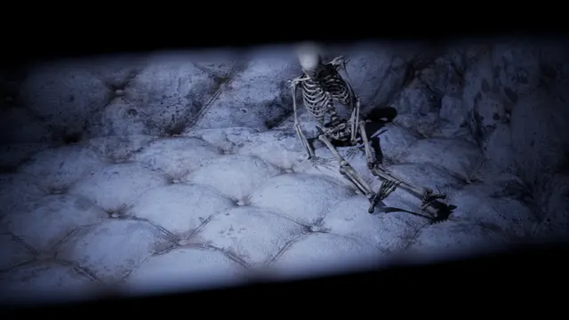 A skeleton in a padded cell, caught in the light